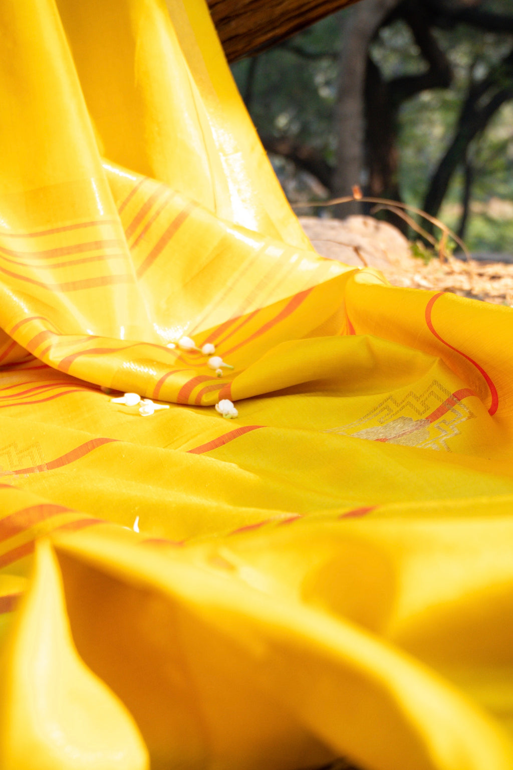 Shiuli Kanjivaram Saree - Natural Dyed