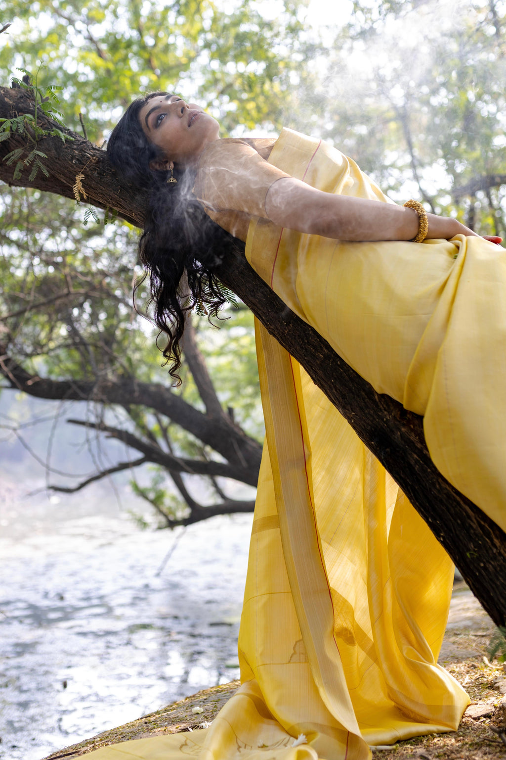 Shubhra Kanjivaram Saree - Natural Dyed