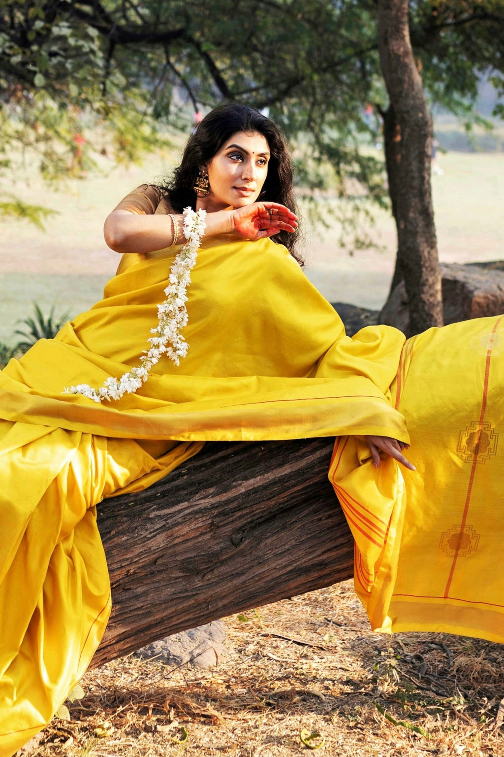 Shiuli Kanjivaram Saree - Natural Dyed