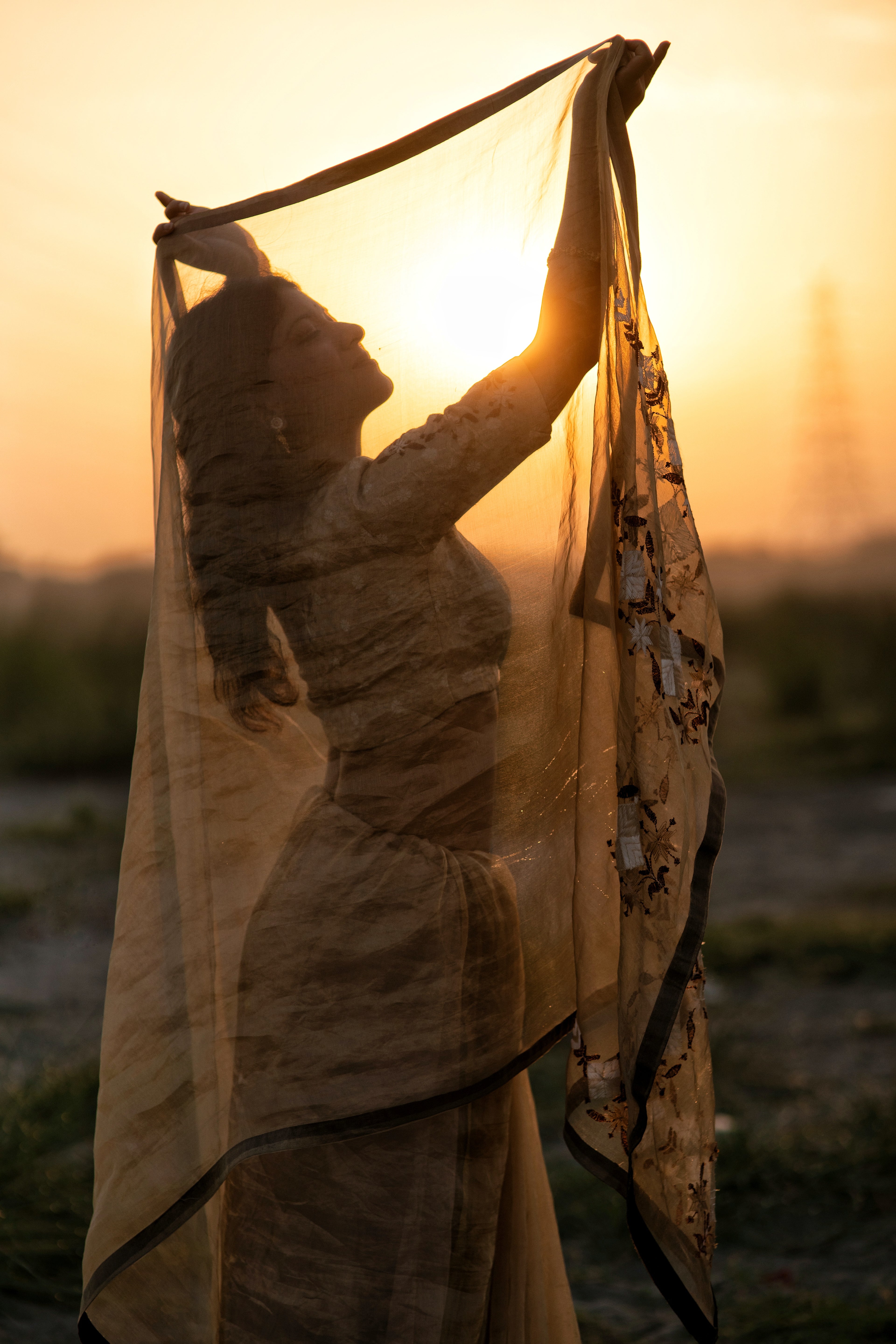 Kanak Phulkari Saree