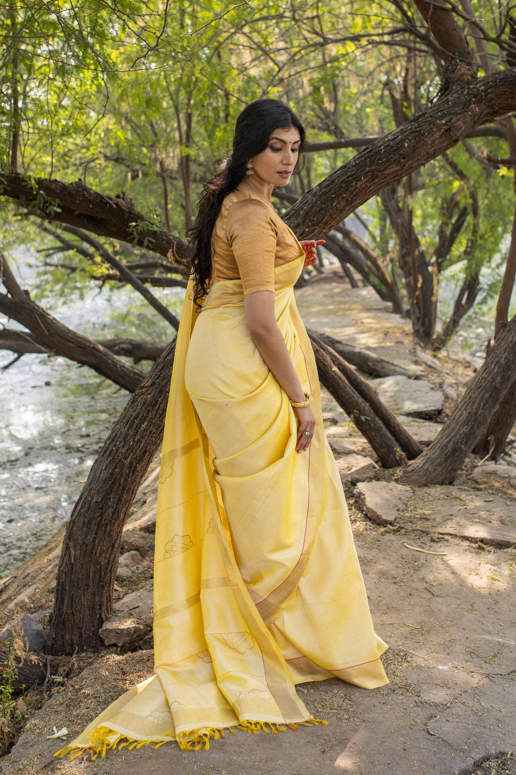 Shubhra Kanjivaram Saree - Natural Dyed