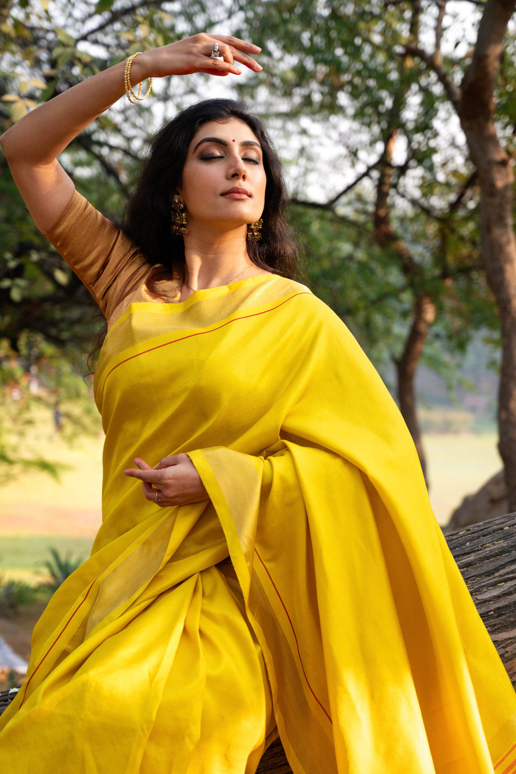 Shiuli Kanjivaram Saree - Natural Dyed