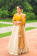 Shaila Phulkari Lehanga Set